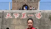 这价值18亿的塔砖何时归还？藏在河南麦田里的天下第一塔王