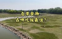 北京南海子公园麋鹿苑详细攻略