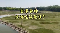 北京南海子公园麋鹿苑详细攻略