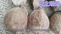 河南--南阳市西峡伏牛山老界岭·恐龙遗址园旅游5A景区最全攻略