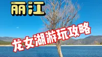 丽江玉湖村龙女湖游玩攻略