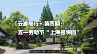 《云游随行》第4期：上海植物园