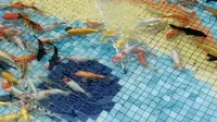 广州动物园的“海洋馆”