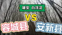 雄安建设四周年/容城县和安新县哪里好玩儿/白洋淀景区看了个寂寞