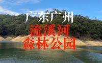 【4K航拍】广东广州从化“流溪河森林公园”，我国首批十个国家森林公园之一