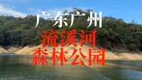 【4K航拍】广东广州从化“流溪河森林公园”，我国首批十个国家森林公园之一