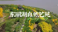 东丽湖自然艺苑