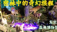东北林大的森林博物馆：密林中的奇幻旅程
