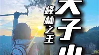 第一次来张家界国家森林公园（天子山）该咋玩？