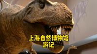 上海自然博物馆游记