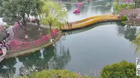 航拍常州圩墩公园-花海的世界