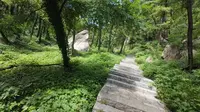 泰山东御道-天烛峰随拍