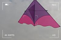 2603 上海共青森林公园