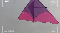 2603 上海共青森林公园