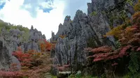 第五十一站 武隆仙女山国家森林公园