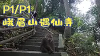 【徒步】峨眉山徒步_遇仙桥-遇仙寺_全程记录P1/P1