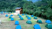 柃蜜小镇露营地位于崇阳县金塘镇畈上村，在这里可以体验9D高空玻璃天桥、滑翔伞、卡丁车、摩天轮等娱乐设施