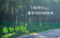 ［旅游Vlog］塞罕坝机械林场