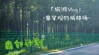 ［旅游Vlog］塞罕坝机械林场