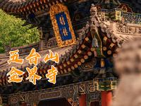 夏天怎么能不来五台山一趟呢？！山西省忻州市五台县五台山风景名胜区金界寺！