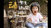 云南野生动物园超不全攻略