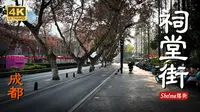 祠堂街——人民公园旁藏了四百年记忆的街 -成都 青羊区 -全画幅4K60帧人文历史扫街 -Shlema摆街