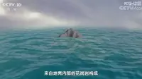 “磐陀石”真的能亿万年不倒吗？