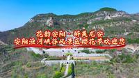 花韵安阳·醉美龙安——安阳洹河峡谷风景区樱花节欢迎您