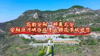 花韵安阳·醉美龙安——安阳洹河峡谷风景区樱花节欢迎您