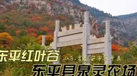 东平红叶谷在哪｜就在泉灵农场，满山红叶，还能品尝酒庄的樱桃酒