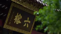 是什么，让众多歪果仁那么喜欢六榕寺？