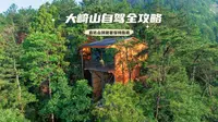武汉1.5h住24℃森林‼️大崎山避暑游，一篇说全
