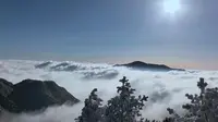 凌晨一点赶2025德化九仙山的第一场雾凇