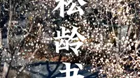 淄博周村王村镇蒲松龄书馆的玉兰开了，聊斋志异大部分在这里完成