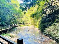 湖南张家界大峡谷徒步谷底观景