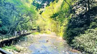 湖南张家界大峡谷徒步谷底观景