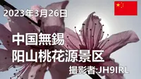 20230326中国无锡阳山桃花源