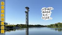 北京的夏天来了，夏日闲逛北京奥林匹克公园享片刻清凉、安宁