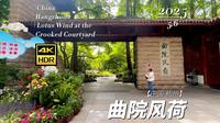 【4K超清】漫步杭州 曲院风荷 2025.5.6 | 漫游中国 | 杭州 | 云旅行 沉浸式 漫步 POV 旅行 白噪音 Citywalk