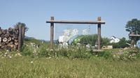 5.31碧云花海