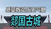 郯国古城太壮观了！不仅不要¥而且夜景更美！ 临沂