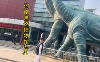 河南自然博物馆vlog