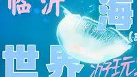 不出临沂也能入海！临沂海洋世界主题公园！！