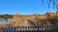 探秘吉林拉法山国家森林公园：东北绿色明珠之旅