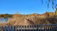 探秘吉林拉法山国家森林公园：东北绿色明珠之旅