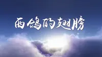 西鸽酒庄宣传片