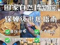 国家自然博物馆保姆级游玩攻略
