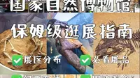 国家自然博物馆保姆级游玩攻略