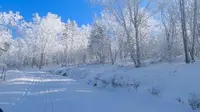 雪谷羊草山雪地摩托车，羊草山狗熊岭