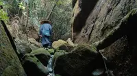 心安即是桃源#武夷山#桃源洞#东方美学#胡金铨